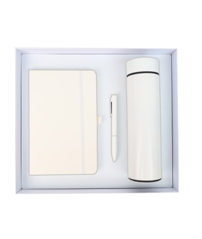 GS020 - Smart Bottle Corporate Gift Box